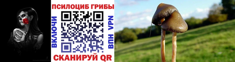 Галлюциногенные грибы Cubensis Нариманов